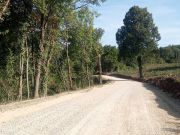 Cesta_Kordunski_Ljeskovac-05