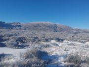 Zima_Rakovica_2025-07