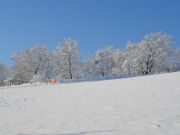 Snijeg_01_2021-14