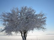 Snijeg_01_2021-16