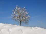 Snijeg_01_2021-18